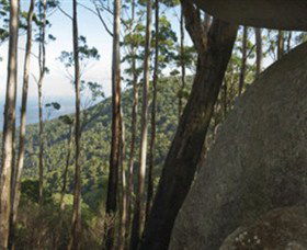 Gulaga National Park - NT Tourism 0