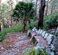 Wodi Wodi Walking Track - Accommodation NT