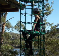 Trees Adventure Shoalhaven - Accommodation NT