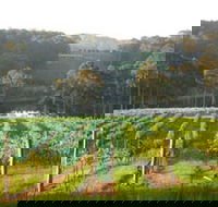 Tilba Valley Wines - NT Tourism