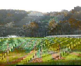 Tilba Valley Wines - NT Tourism 0