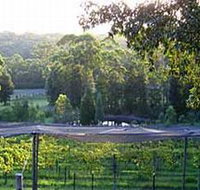 Lyrebird Ridge Organic Winery - Accommodation NT