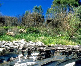 Abrahams Bosom Reserve - Accommodation NT 0