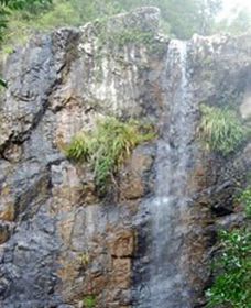 Wedding Bells Forest Drive - Accommodation NT 0