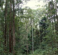 Bongil Bongil National Park - Accommodation NT