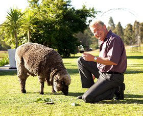 Moorebank Private Vineyard - Accommodation NT 2