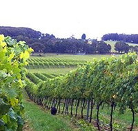 Banjo's Run Winery and Vineyard - Accommodation NT