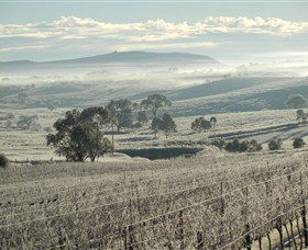 Kurrajong Downs Wines Vineyard - Accommodation NT 1