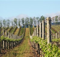 Philip Shaw Wines - Accommodation NT