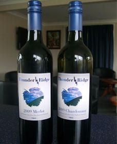 Thunder Ridge Wines - Accommodation NT 0