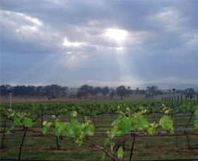 Thunder Ridge Wines - Accommodation NT 1