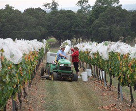 Razorback Ridge Wines - Accommodation NT 7