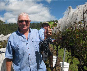 Razorback Ridge Wines - Accommodation NT 2