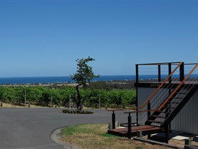 Rocky Ridge Vineyard And Cellar Door - NT Tourism 1