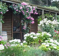 Lavina Wines - Accommodation NT