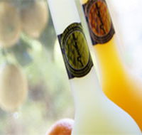 Ambra Limoncello - Accommodation NT