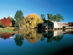 Balnaves Of Coonawarra - Accommodation NT 0