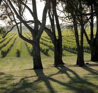 Henry's Drive Vignerons - NT Tourism