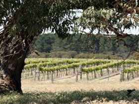 Wangolina Station - Accommodation NT 3