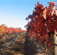 Kooyonga Creek Wines - Accommodation NT