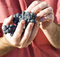 Brown Magpie Wines - Accommodation NT