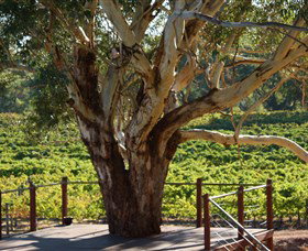 Upper Reach Winery And Cellar Door - Accommodation NT 1