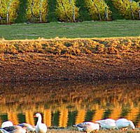 Pipers Brook Vineyard - Accommodation NT