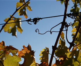 Blackjack Vineyards - Accommodation NT 1