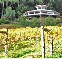 Peveril Vineyard/Beechy Berries - Accommodation NT