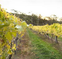 Harcourt Valley Vineyards - Accommodation NT