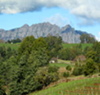 Lake Barrington Vineyard - Accommodation NT
