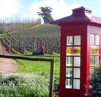 Dalrymple Vineyards - Accommodation NT