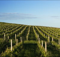 Delamere Vineyard - Accommodation NT