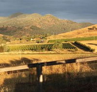 Optimiste Wines - Accommodation NT
