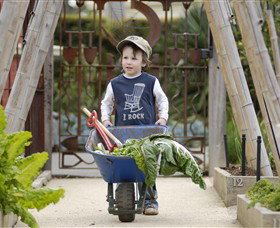 Royal Botanic Gardens Victoria - Accommodation NT 0