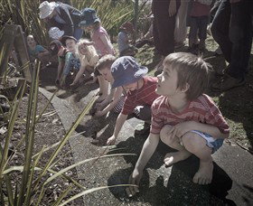 Royal Botanic Gardens Victoria - Accommodation NT 5