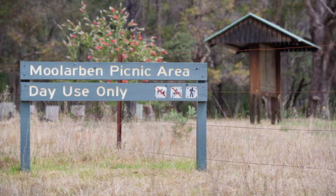 Moolarben Picnic Area - Accommodation NT 1