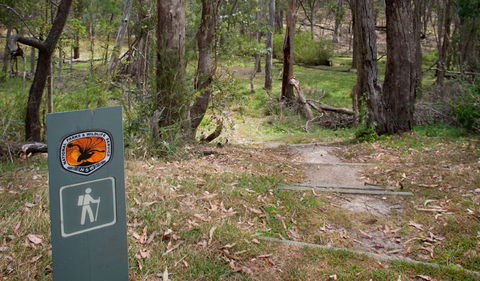 Moolarben Picnic Area - Accommodation NT 0