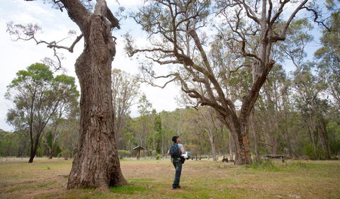 Moolarben Picnic Area - Accommodation NT 2