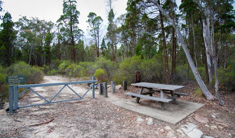 Munghorn Gap Nature Reserve - Accommodation NT 2
