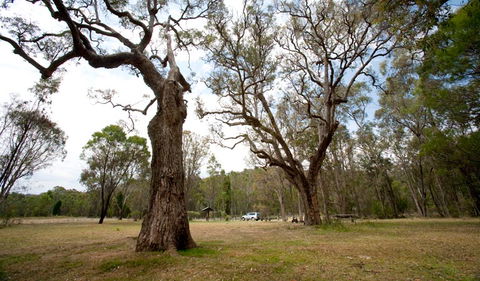 Munghorn Gap Nature Reserve - Accommodation NT 3