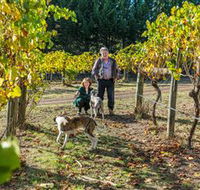 Little River Wines of Taggerty - Accommodation NT