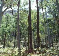 Cathedral Range State Park - Accommodation NT