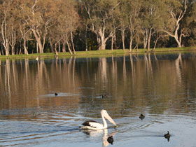 Drysdale Cheeses - Accommodation NT 7