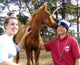 Bellarine Horse Riding Centre - Accommodation NT 1