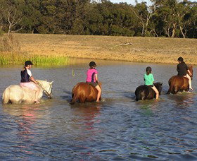 Bellarine Horse Riding Centre - Accommodation NT 2