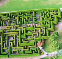 Hedgend Maze and Healesville Laser Sport - Accommodation NT