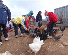 Bathurst Farm Experience - Accommodation NT 2