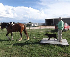 Bathurst Farm Experience - Accommodation NT 7