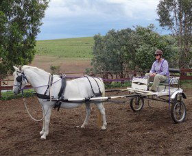 Bathurst Farm Experience - Accommodation NT 8